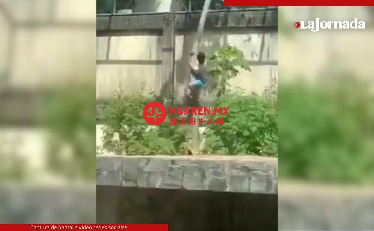 在巴西的动物园里,一只狮子袭击了进入笼子的青少年