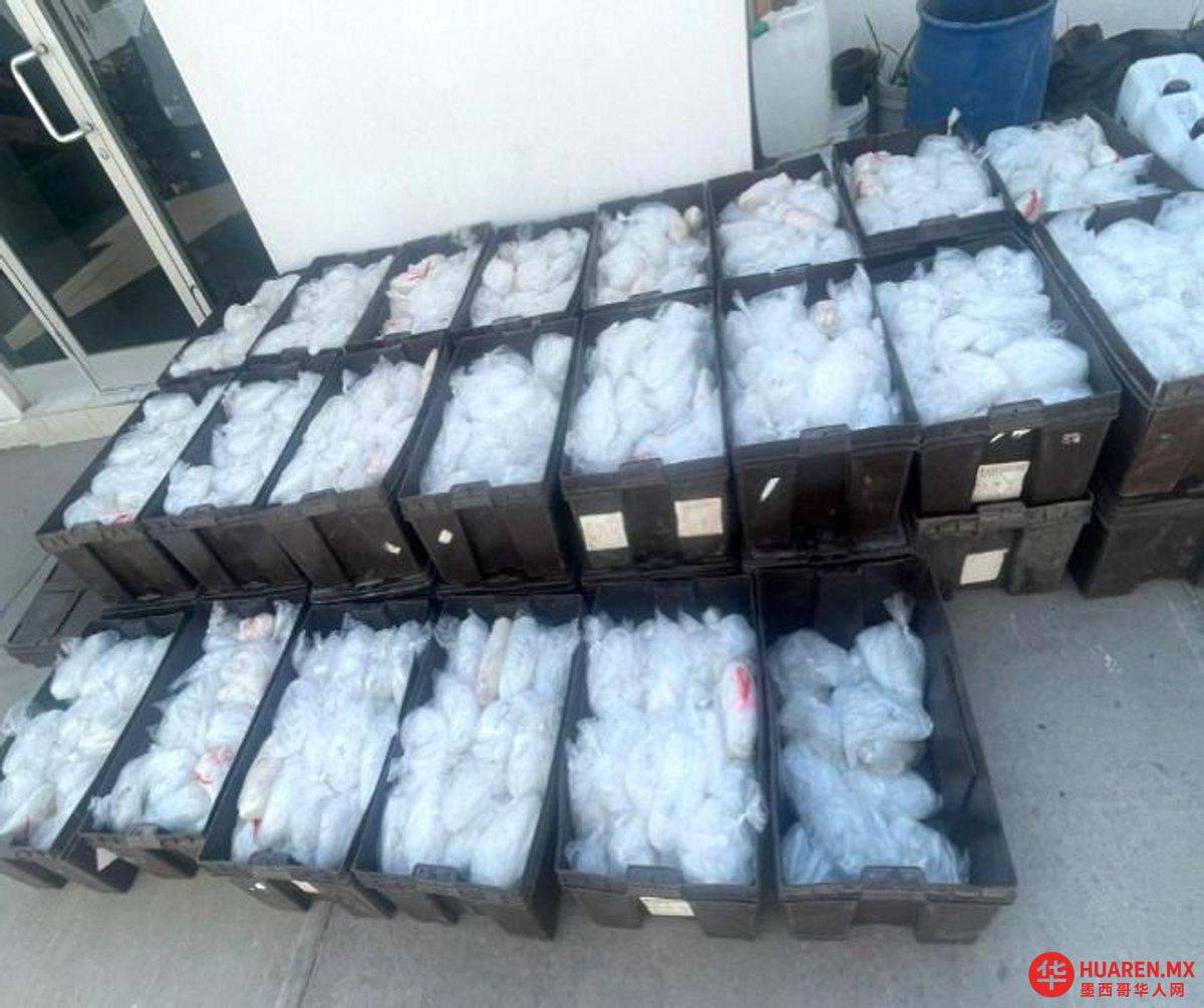 判处该男子超过6年监禁,因其运输了近一吨甲基苯丙胺