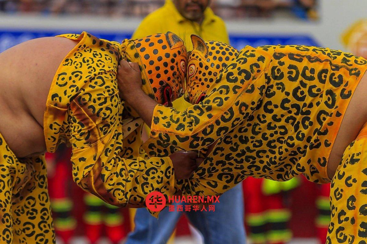 Guerrero: ‘Porrazo del Tigre’挑战犯罪分子