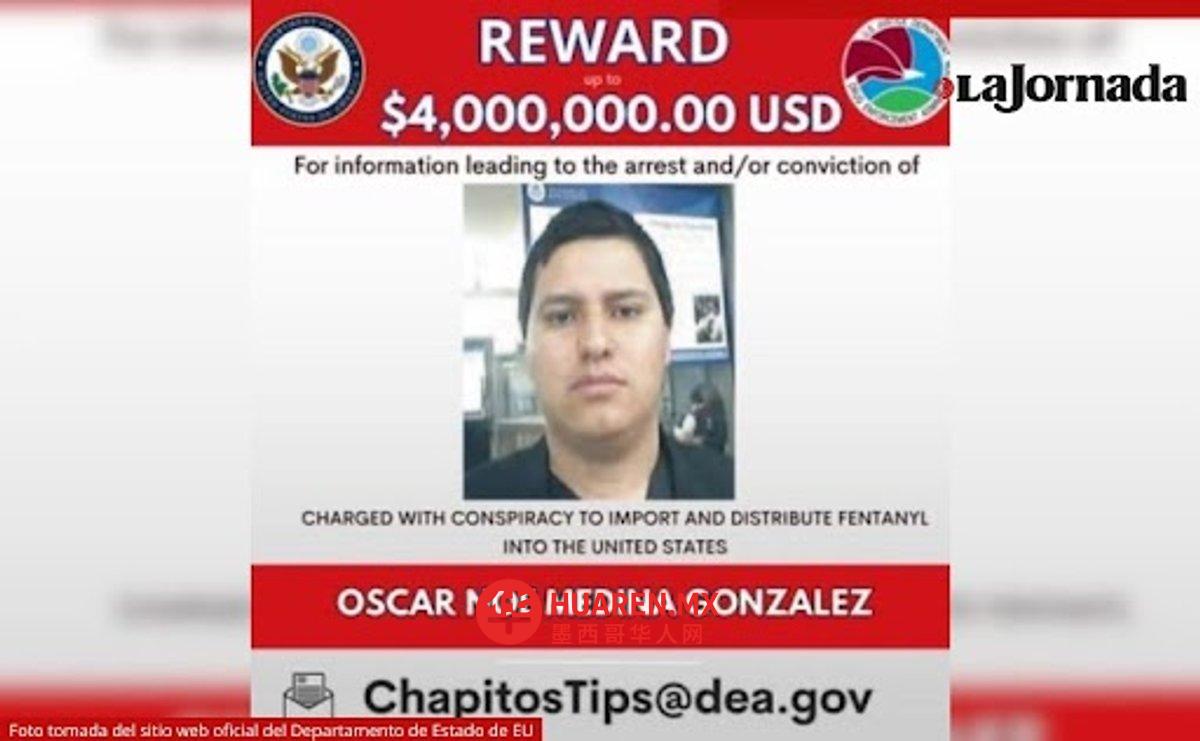 在‘Zona Rosa’被杀害的男子是‘Los Chapitos’组织的成员。