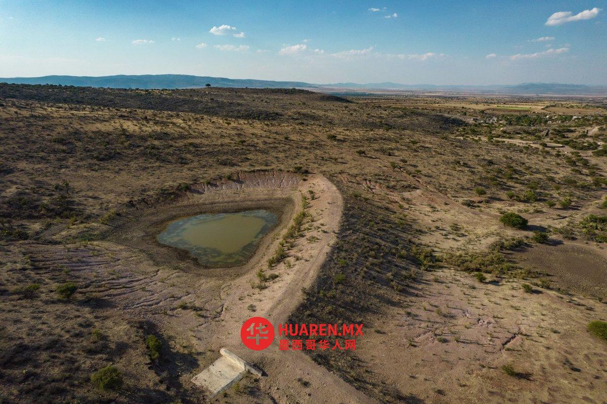 Buscan amparo contra Ley de Aguas 50 productores agrícolas de Zacatecas