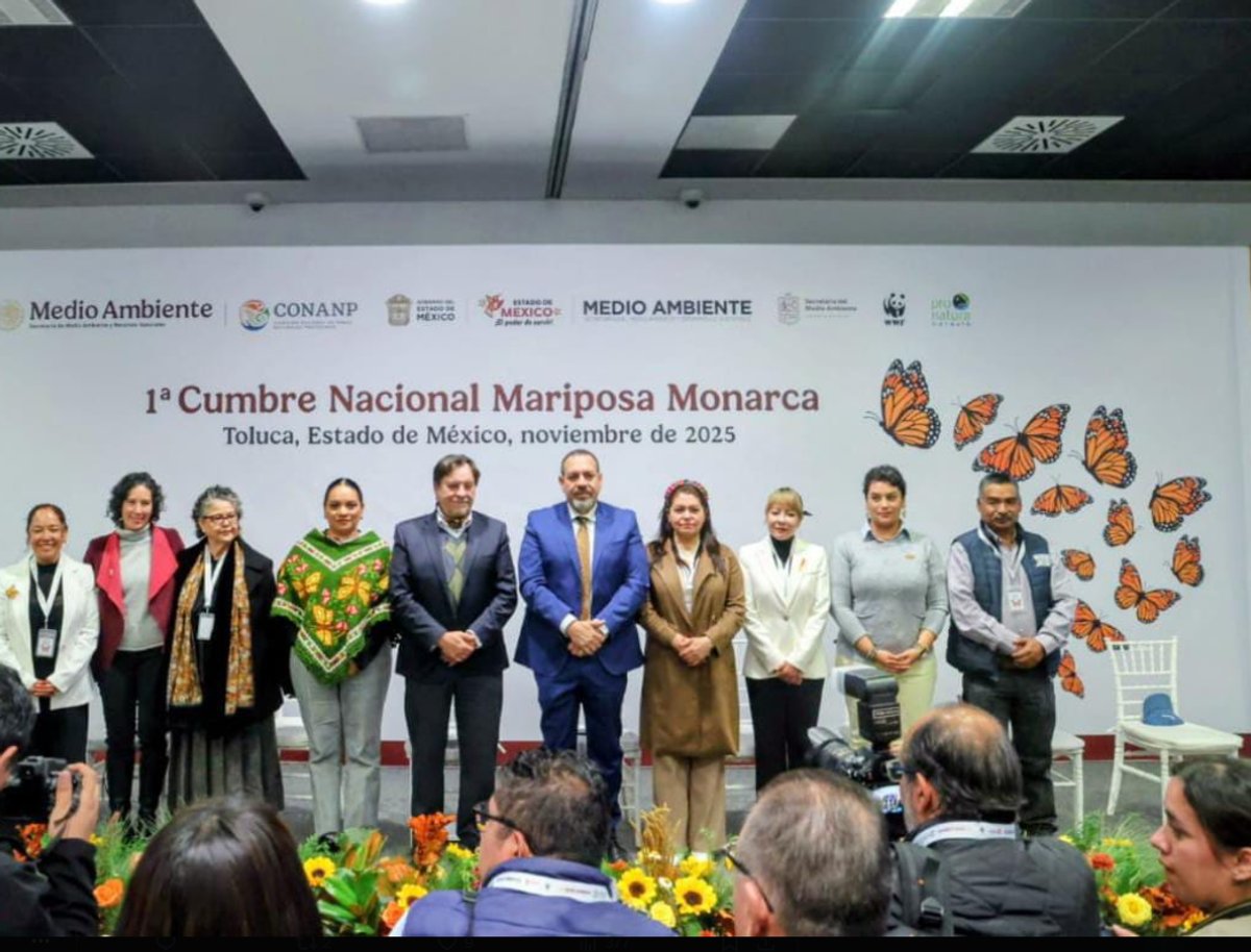 墨西哥将向美国发出强烈而合作的呼吁,以共同保护帝王蝶