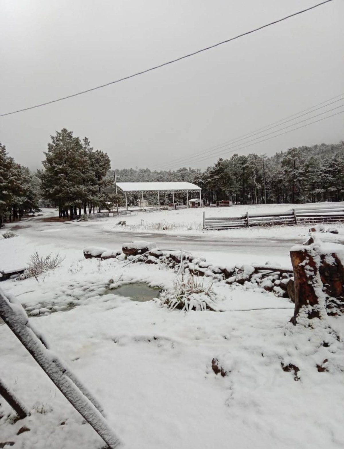 在杜兰戈和索诺拉地区,迎来了这个季节的首场降雪