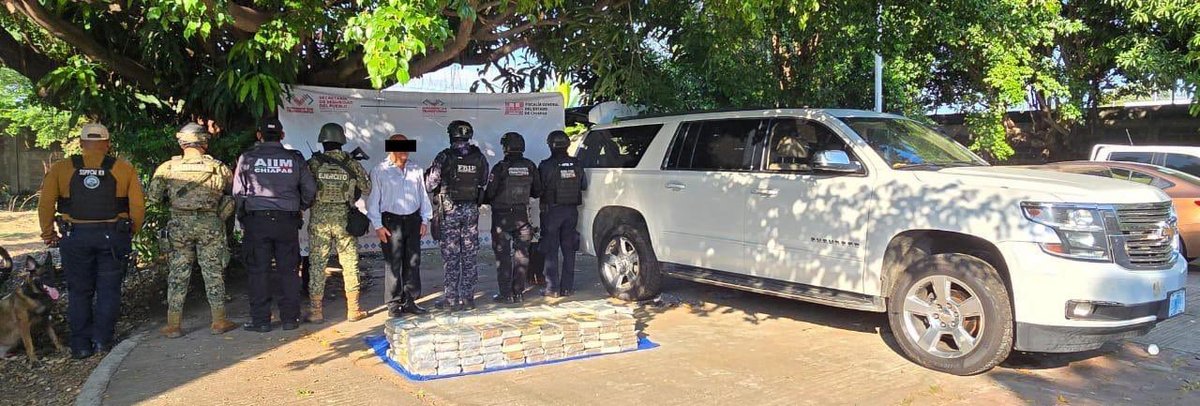 Chiapas: 捕获一名携带毒品及伪造外交部车牌的嫌疑人