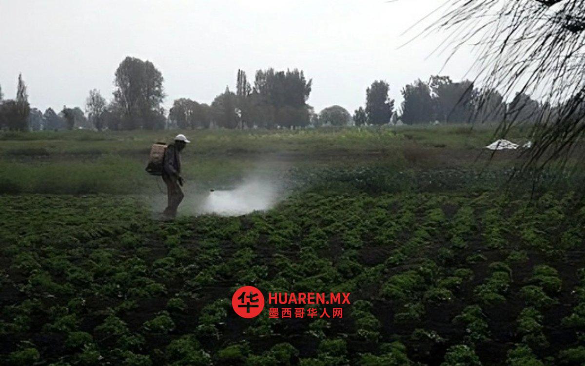 农业化学品污染引关注，多地农田水质检测超标