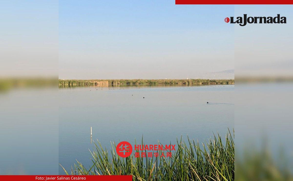 在埃卡特佩克地区建设占地180公顷的湿地,以拯救特克斯科科湖