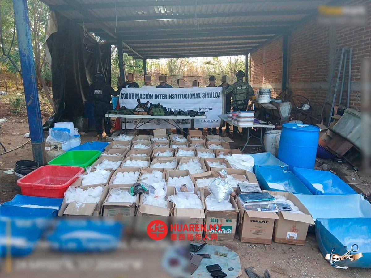 塞马尔在锡那罗亚州捣毁“Los Chapitos”制毒窝点，逮捕“Los Rugrats”成员