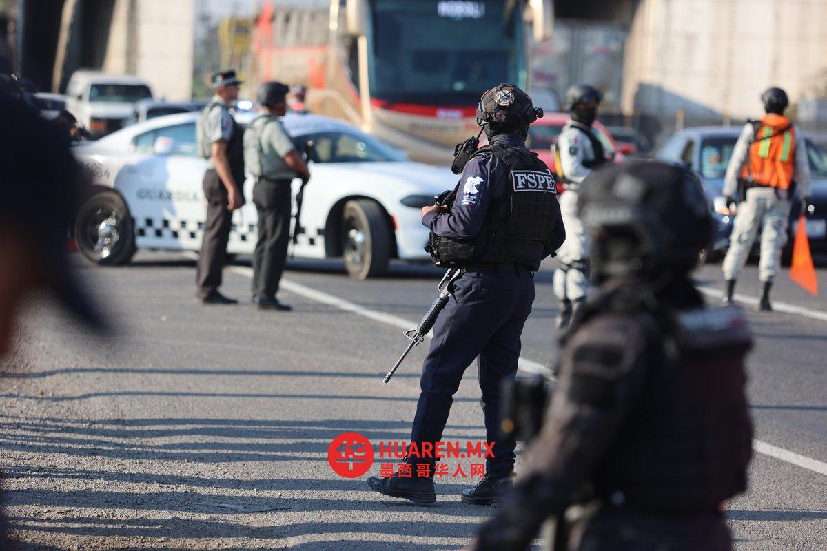 瓜纳华托安全部门：2025年犯罪集团致当地经济损失4.53亿比索