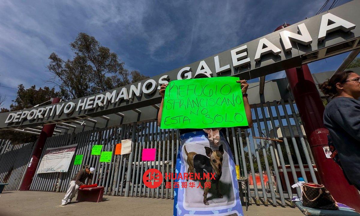 “Deportivo Los Galeana”抗议者要求将被转移的狗送回“Franciscano”收容所
