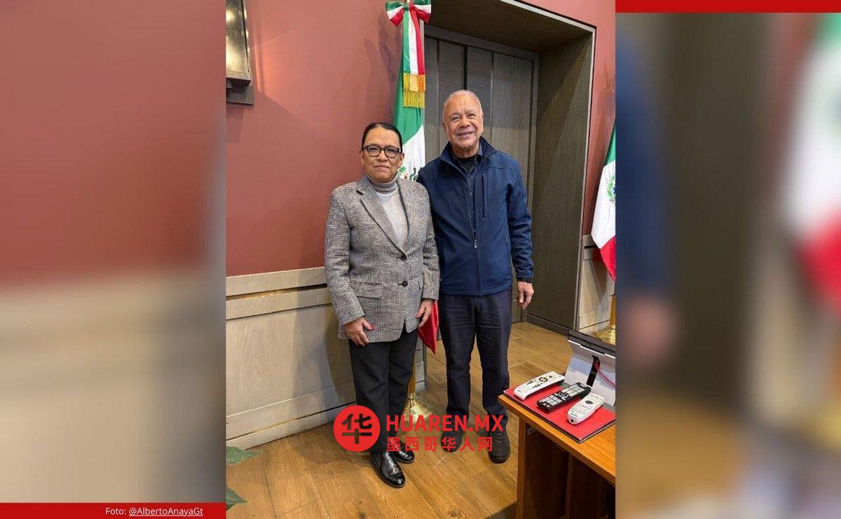 绿党与劳工党表态支持谢因鲍姆提出的选举改革方案