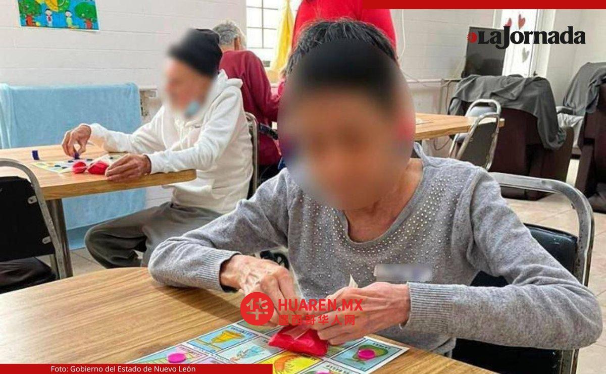 女子因遗弃老人于荷兰被判四年监禁,系当地首例此类判决