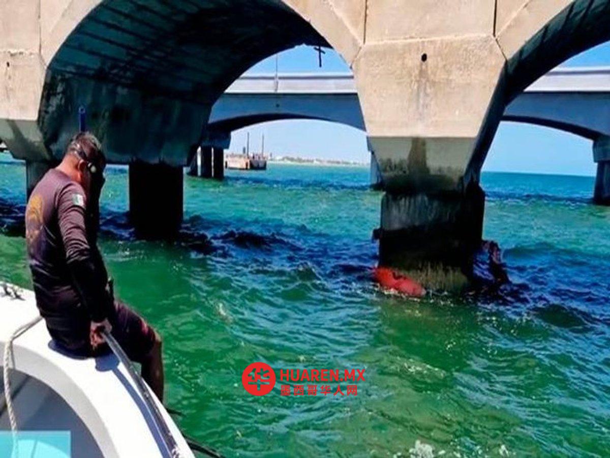尤卡坦半岛旧输油管道泄漏,碳氢化合物冲上海滩