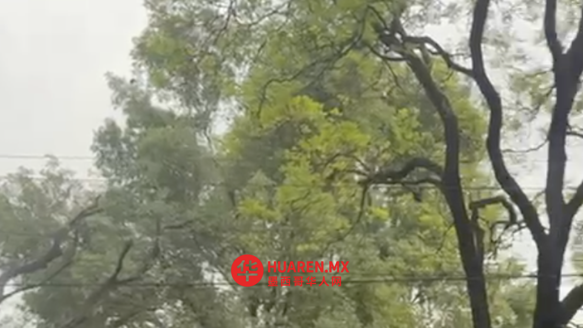 世界杯开幕在即，墨西哥城抗议活动频发，或引发社会动荡。
