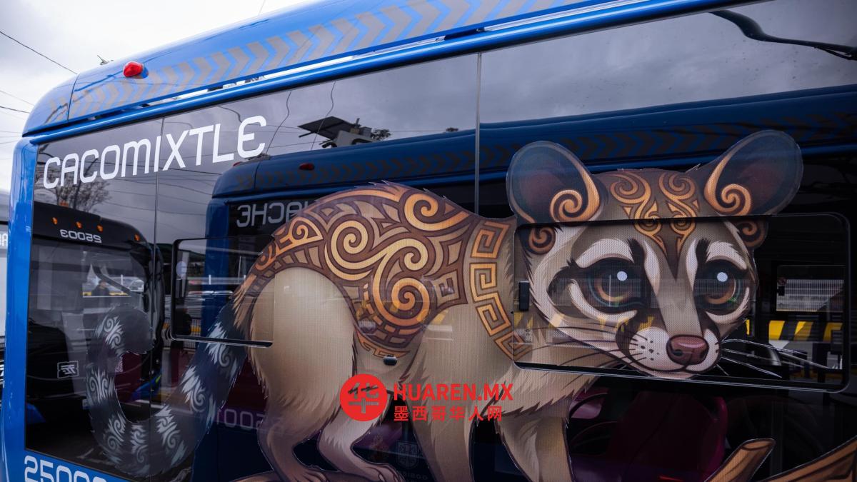 “Animales Silvestres”无轨电车路线及时间表
