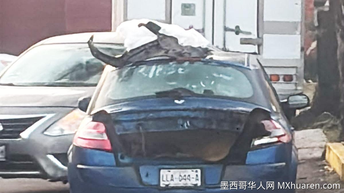 墨西哥城卡兰萨区发现女子陈尸车内