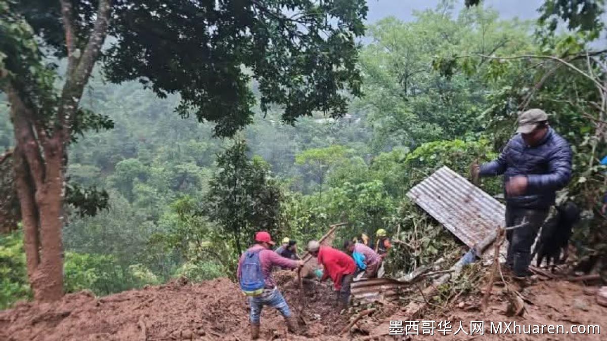 墨西哥索戈科利卡山脉暴雨引发滑坡 致一老年妇女遇难