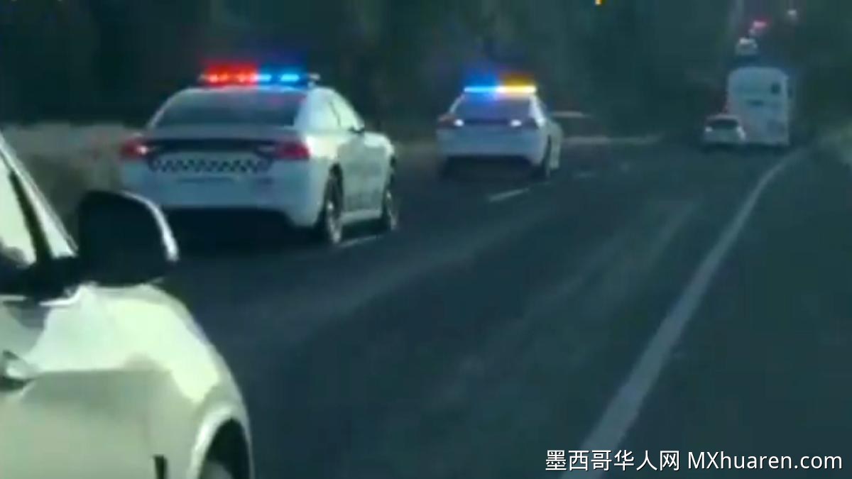 追捕行动抓获五人缴获枪支