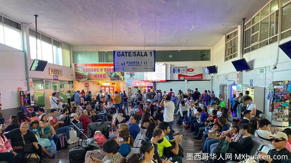 2026年暑期老年人INAPAM证件福利一览