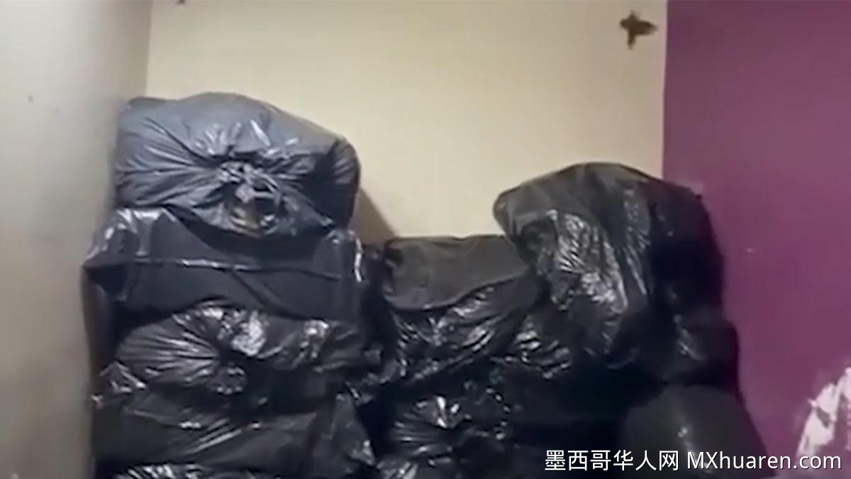 墨西哥城缴获半吨大麻捣毁贩毒窝点