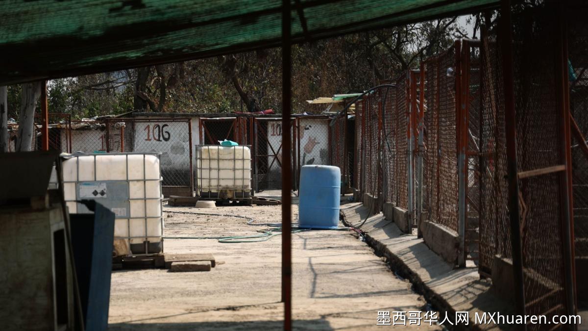 墨西哥城政府呼吁通过对话解决方济各庇护所冲突