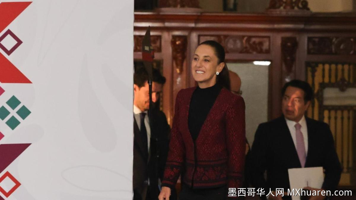 辛鲍姆驳回限制投票权提案