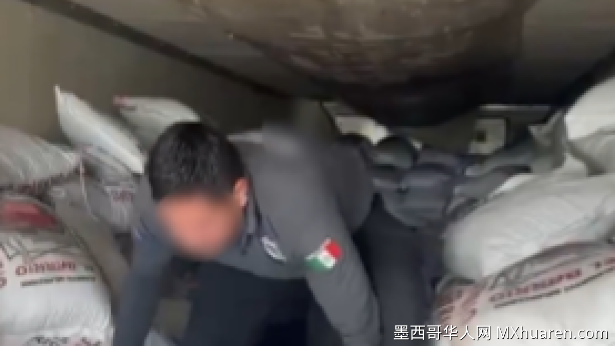 墨安全部长:索诺拉缴获超三吨冰毒