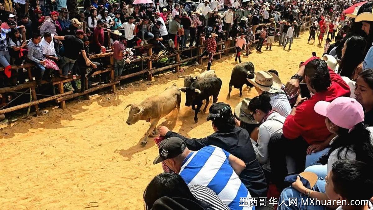 两万人齐聚伊达尔戈参加传统“圣徒游行”