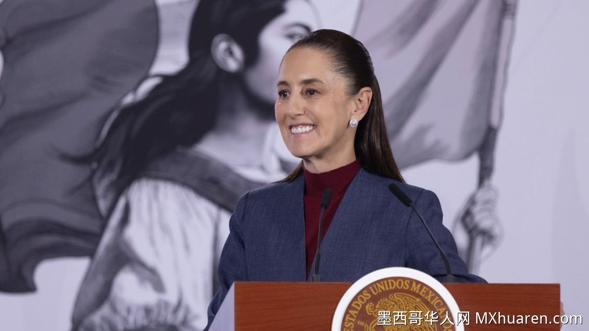 辛鲍姆质疑美方对“五月”被捕说法