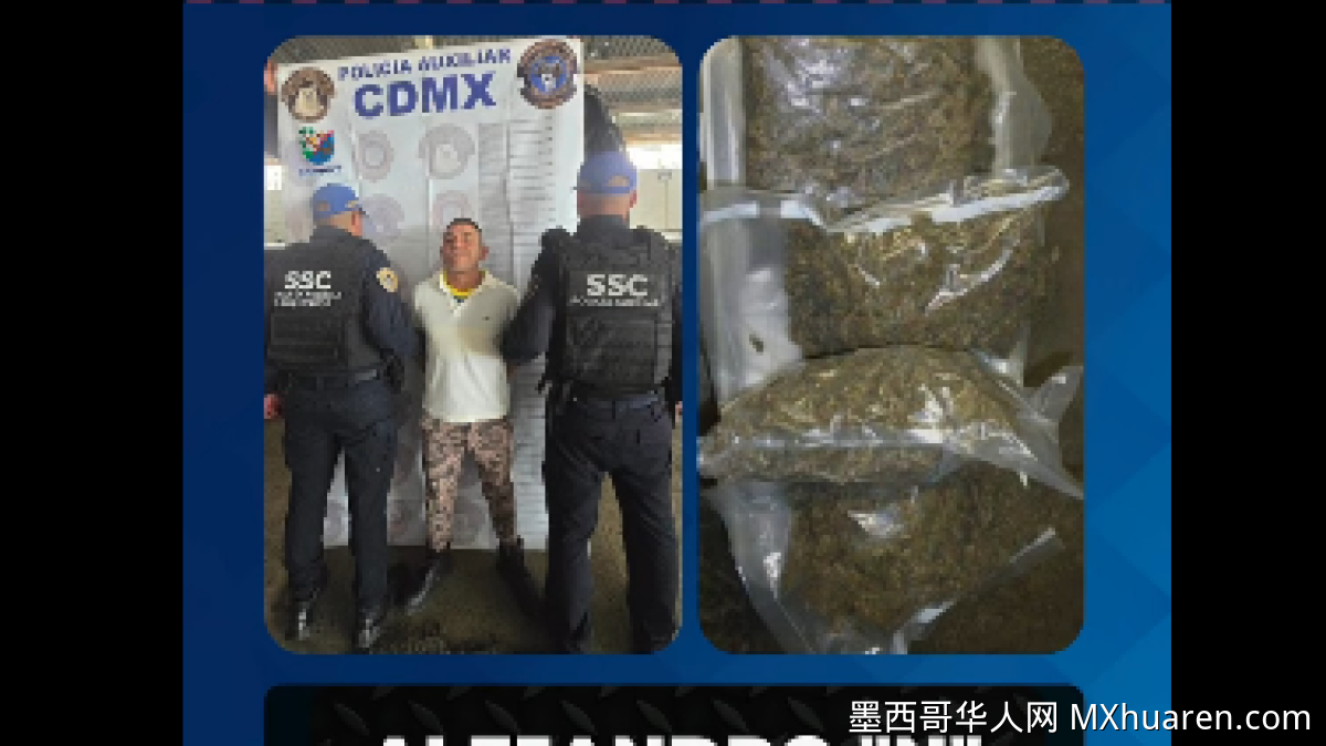“大手帮”头目落网