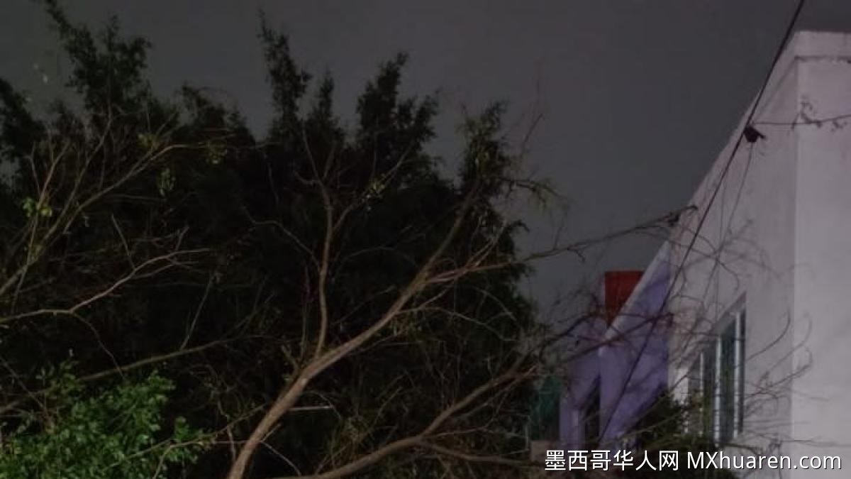 强降雨重创哈利斯科多地