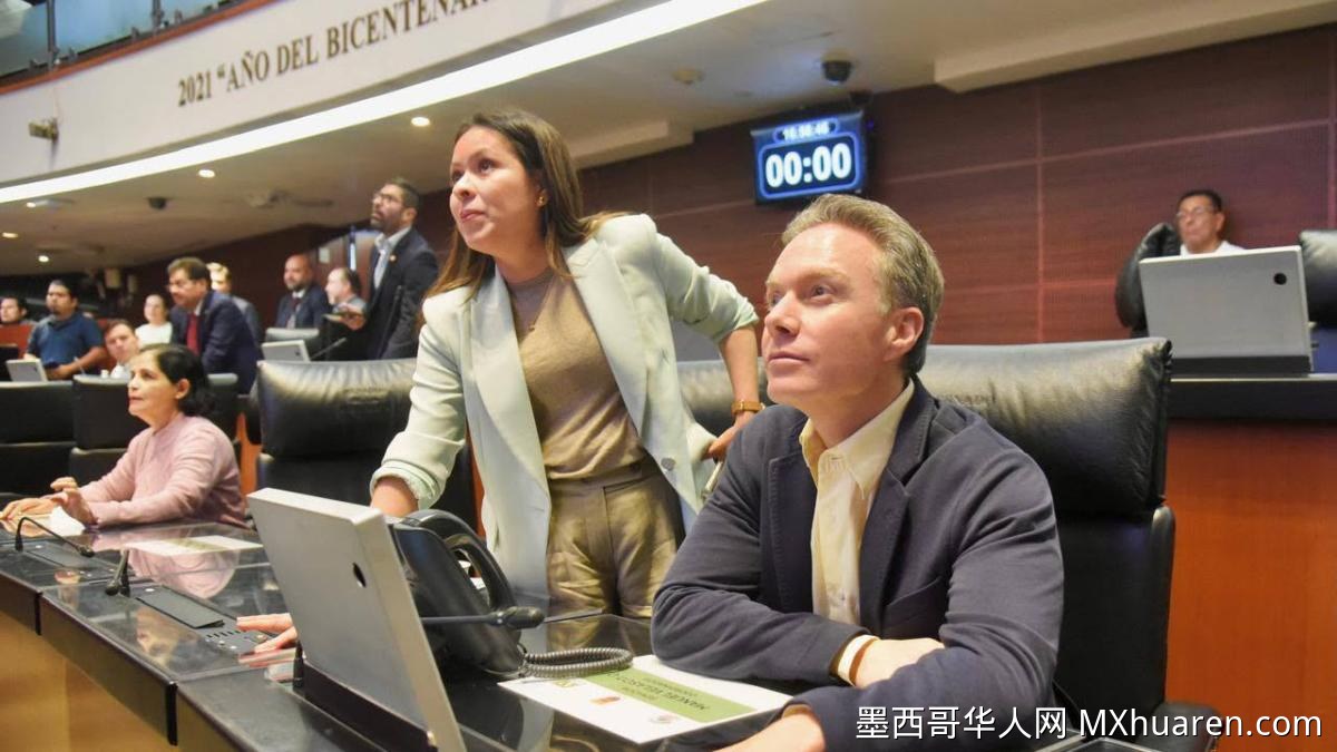 墨西哥加强军警联动打击非法砍伐