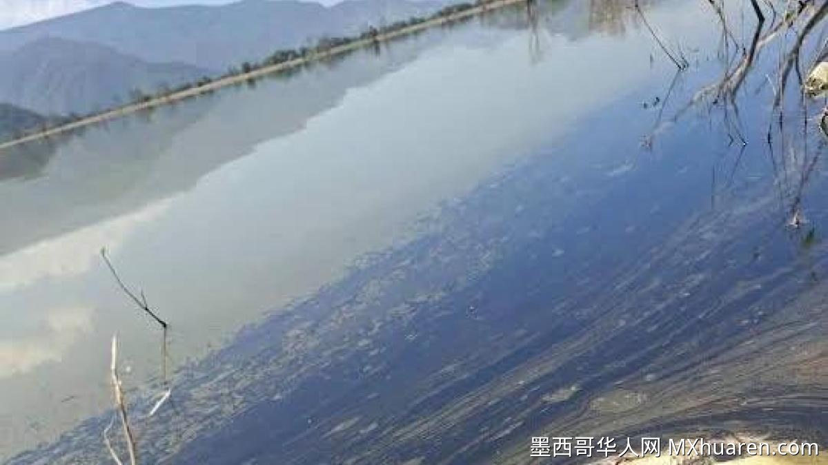柴油泄漏污染伊达尔戈州湖泊