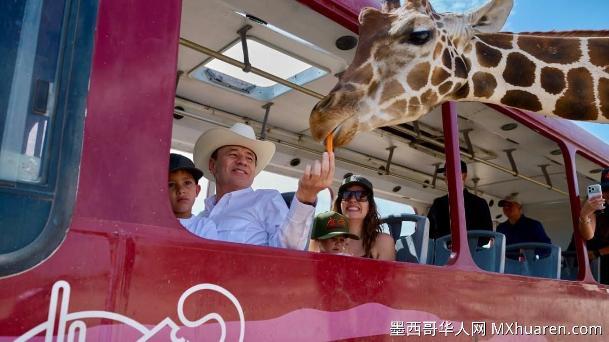 索诺拉州生态保护成效显著 上半年繁育73只野生动物