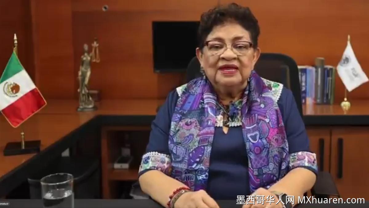 墨西哥破获最大燃料走私网 前州长鲁福·阿佩尔被捕
