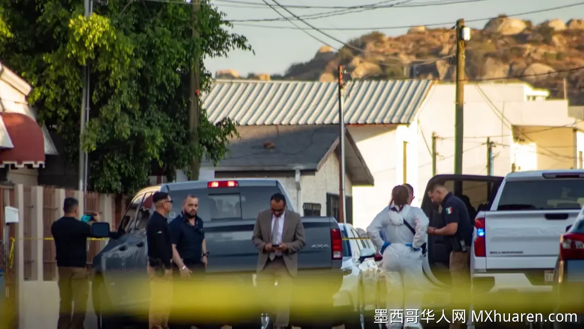 墨西哥安全内阁展开跨州联合行动 韦拉克鲁斯11名州警被捕