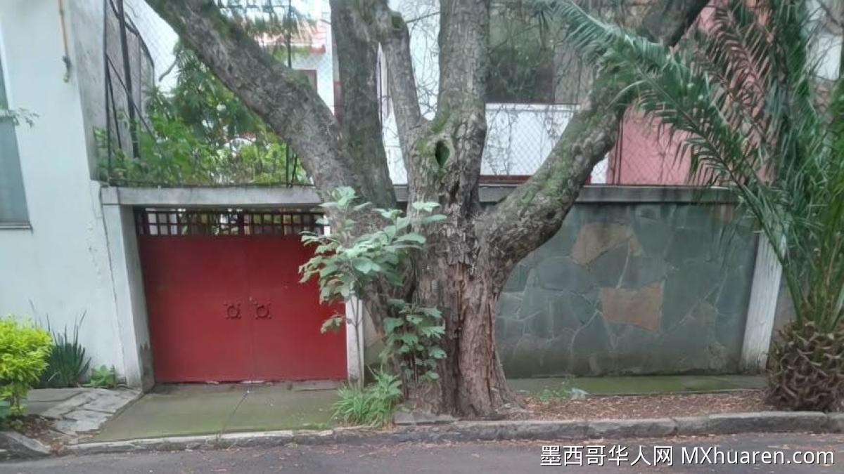 百年祖宅遭强占 墨城居民抗议求援