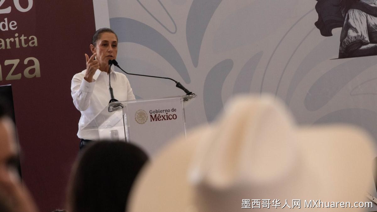 辛鲍姆称萨卡特卡斯屠杀视频系伪造