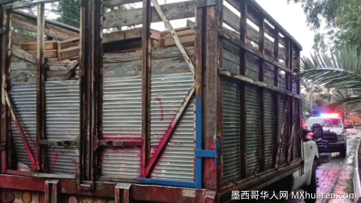 墨西哥城Xochimilco查获110个非法木托