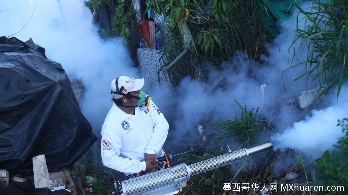 韦拉克鲁斯州用“土方”杀虫剂替代认证产品