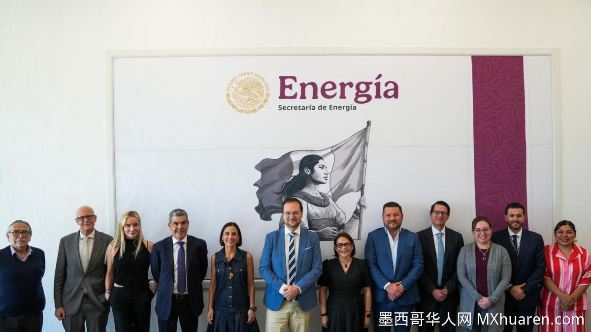 CFE与Cubico签百亿投资开发新能源