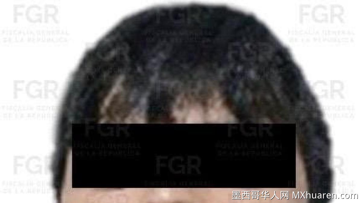 “韦罗·布ryan”因效力“小矮子”犯罪组织获刑超7年