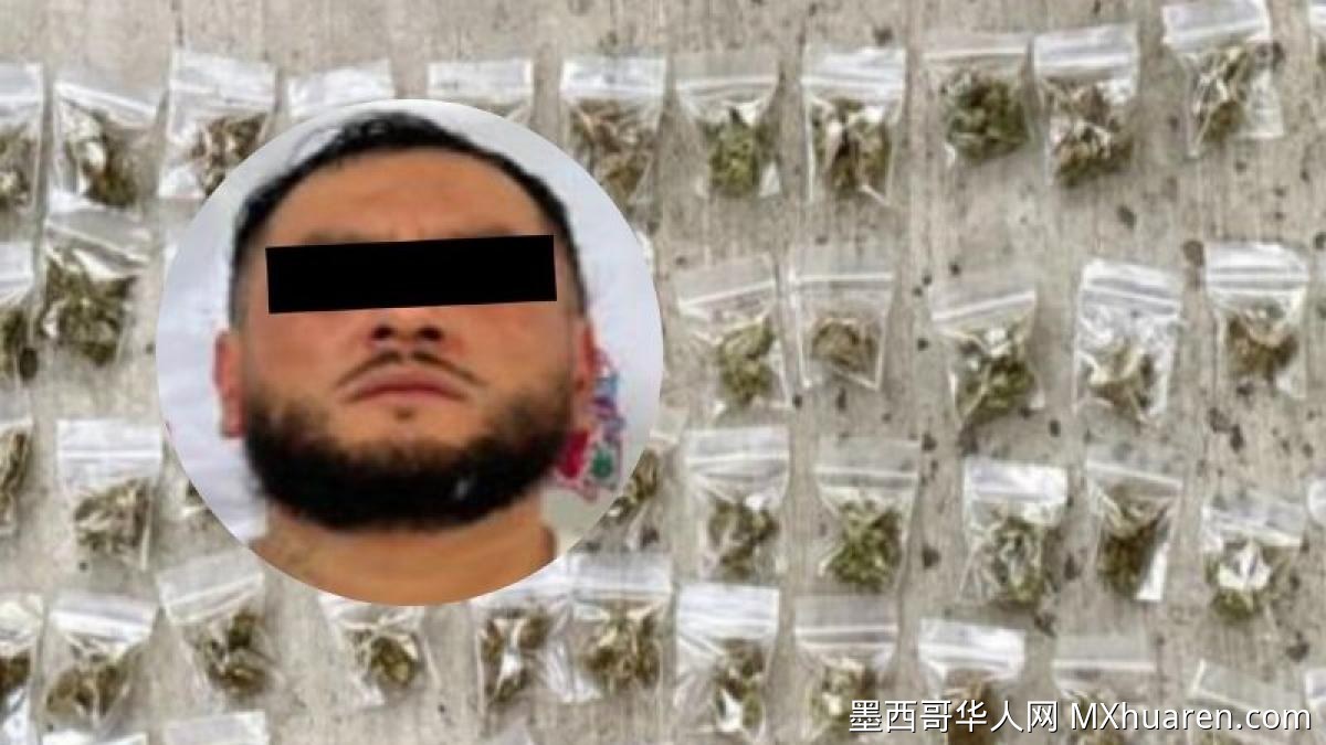 墨城西区入室盗窃团伙成员落网