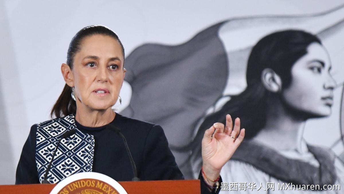 辛鲍姆称对鲁福的诉讼无政治动机