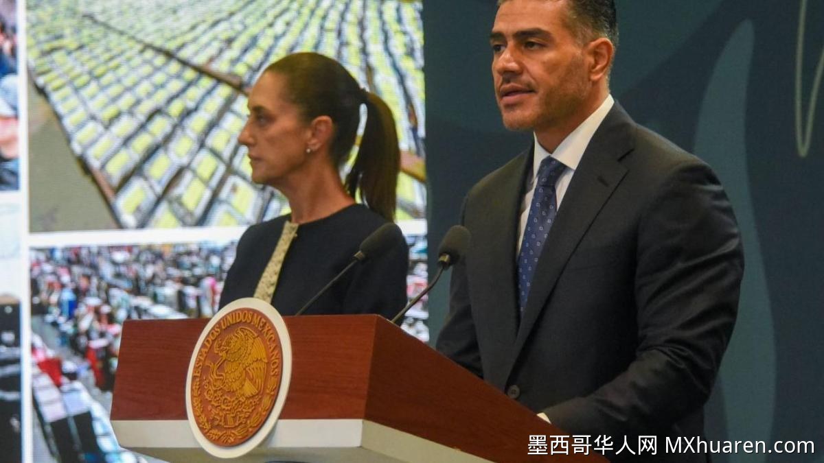 未发现“五月”名下财产 将公布查扣报告