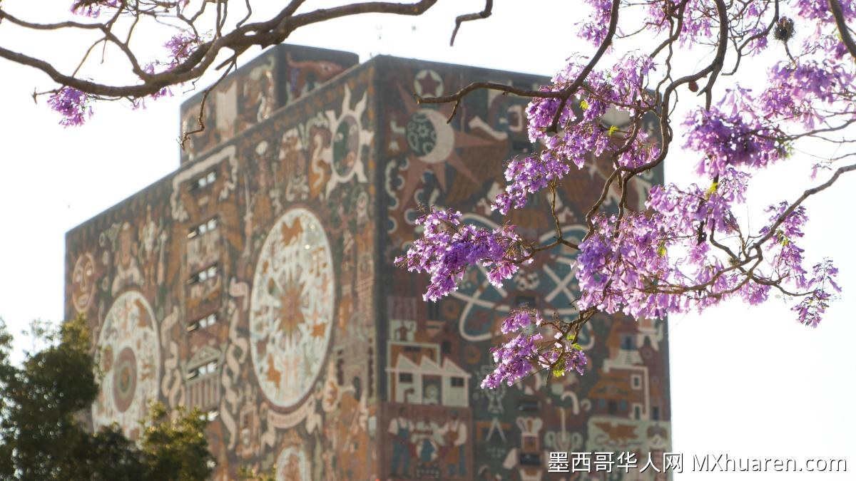 UNAM校长下令审查入学考试并成立技术委员会