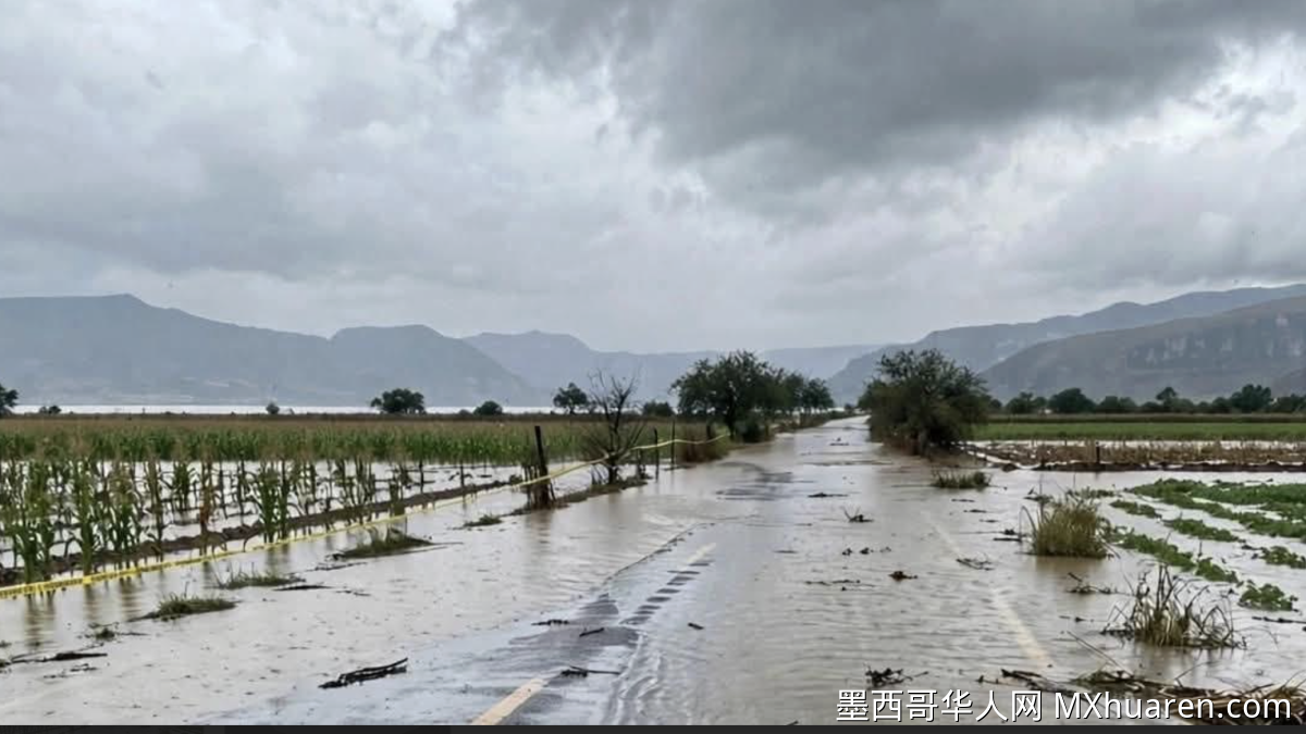 伊达尔戈州泻湖泛滥 道路预防性关闭
