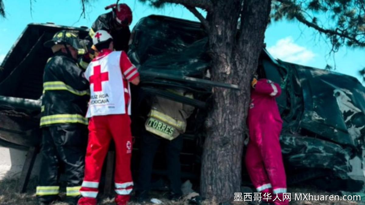 新莱昂公路车祸致1死5伤