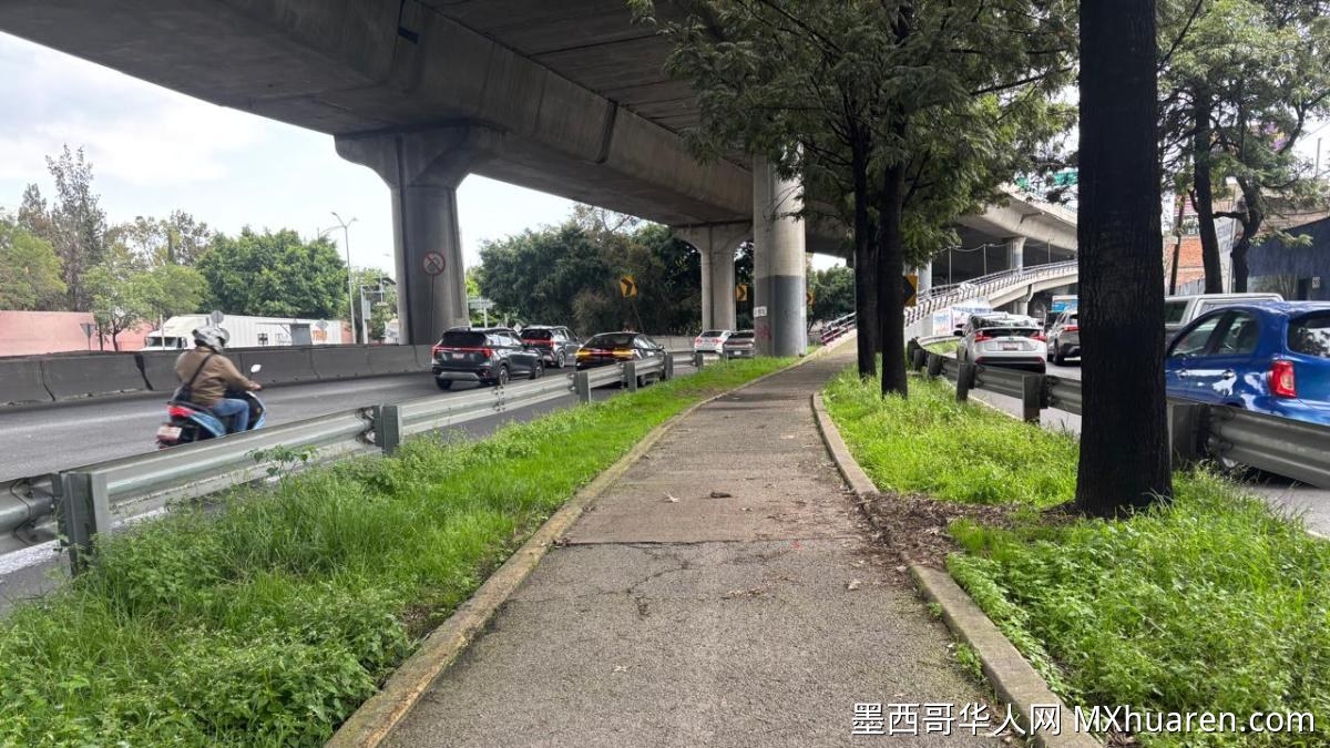 墨西哥城承诺300公里新自行车道仅建成34公里