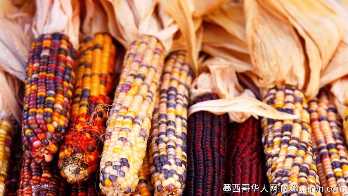 分析师:美墨谈判或因特朗普威胁紧张