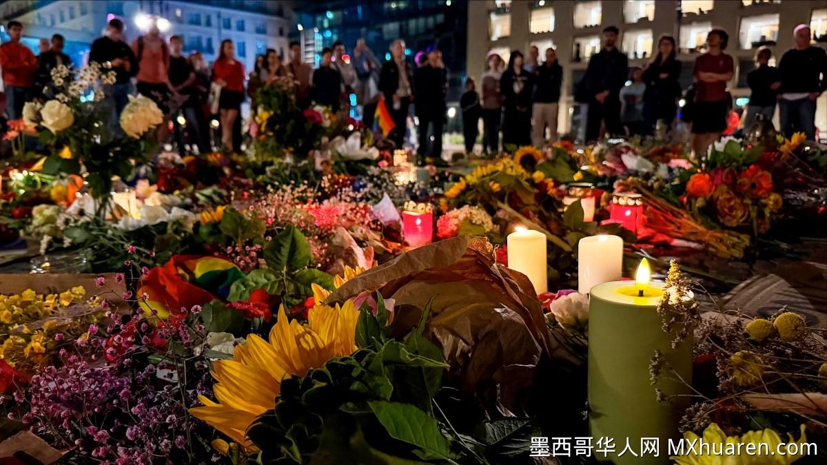 柏林骄傲节撞人袭击者被击毙